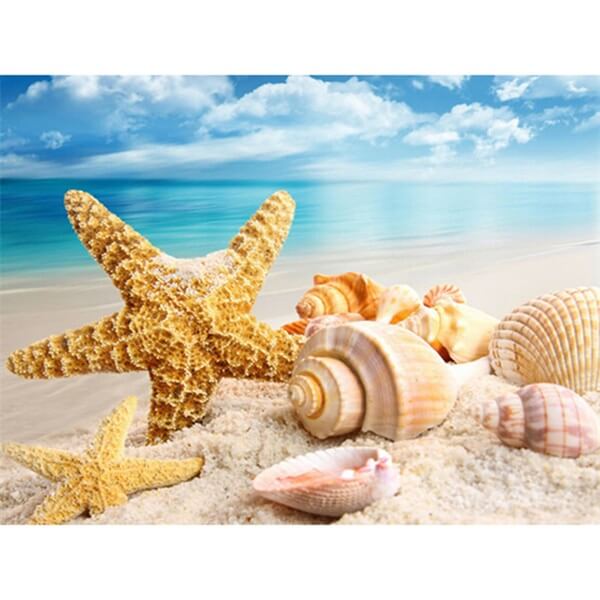 Diamond Painting Beach Sea Shells - OLOEE