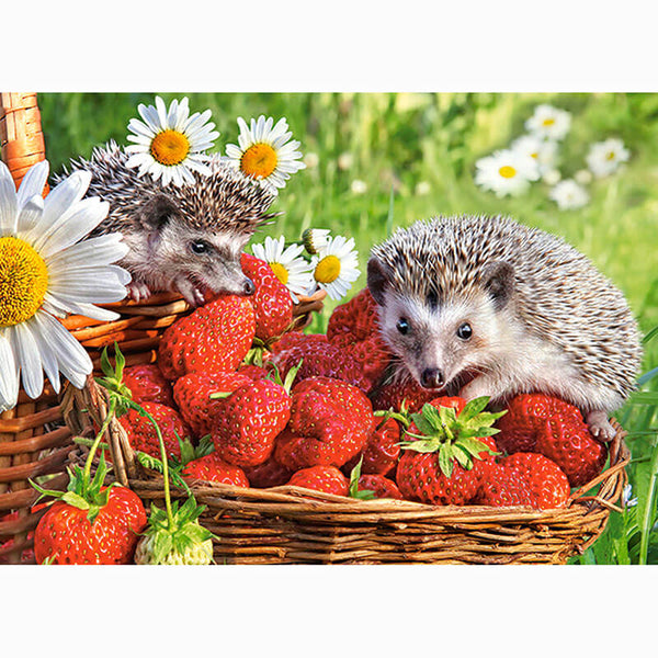 Diamond Painting Strawberry Hedgehogs - OLOEE
