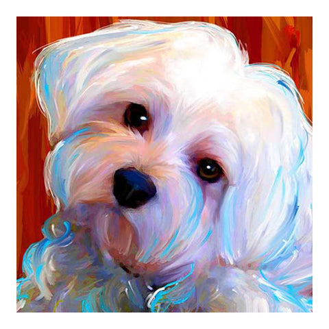 Diamond Painting Maltese Dog Pet - OLOEE