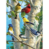 Diamond Painting Birds On Tree - OLOEE