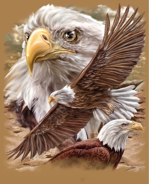 Diamond Painting Native American Eagles - OLOEE