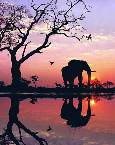 Diamond Painting Beautiful Sunset Elephant - OLOEE