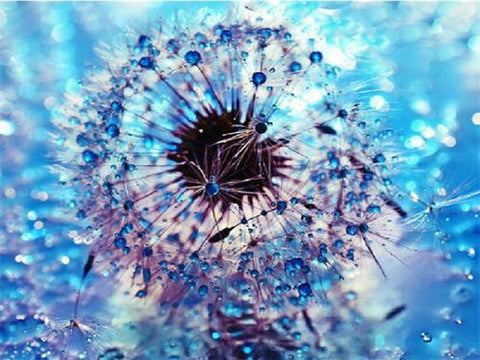 Diamond Painting Blue Dandelion - OLOEE