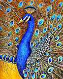 Diamond Painting Blue Peacock - OLOEE