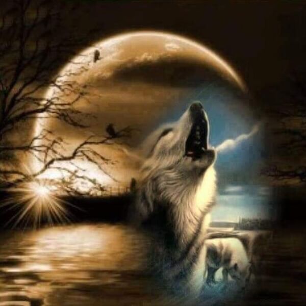 Diamond Painting Howl At The Moon - OLOEE