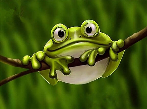 Cute Diamond Painting Kit Of A Small Frog, Adult Tools, 5d Diy Art