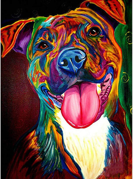 Colorful Pit Bull