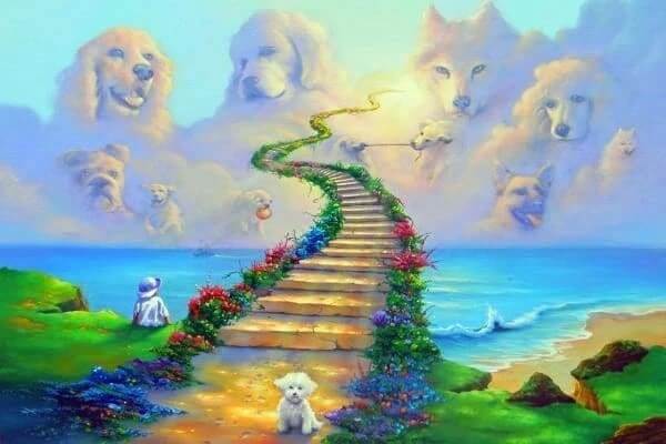 All Dogs Go To Heaven Diamond Painting Kits Full Drill – OLOEE