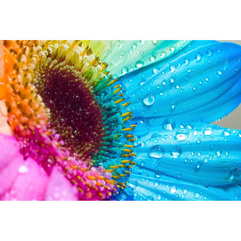 Diamond Painting Colorful Sunflowers - OLOEE