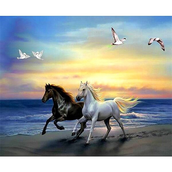 Diamond Painting Black and White Horses - OLOEE