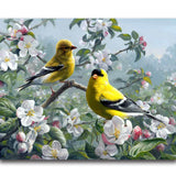 Diamond Painting Bird Coasters - OLOEE