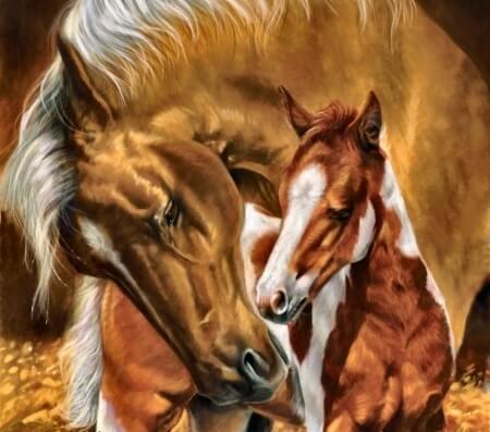 Diamond Painting Sweet Horse Animal - OLOEE