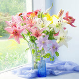 Diamond Painting Lily Flower Bouquet - OLOEE