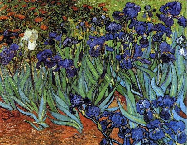 Diamond Painting Irises Van Gogh - OLOEE