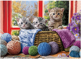 Knittin Kittens