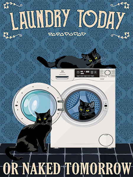 Laundry Today Black Cat