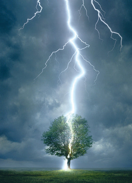 Lightning Striking Tree