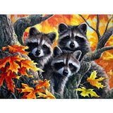 Maple Tree Raccoons