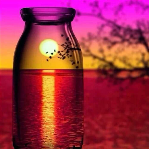 Diamond Painting Violets Sunset Landscape Bottle - OLOEE