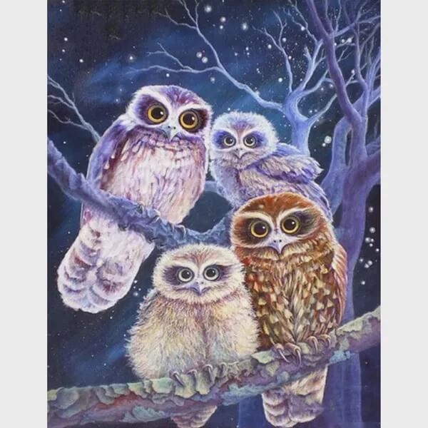 Nocturne Owls
