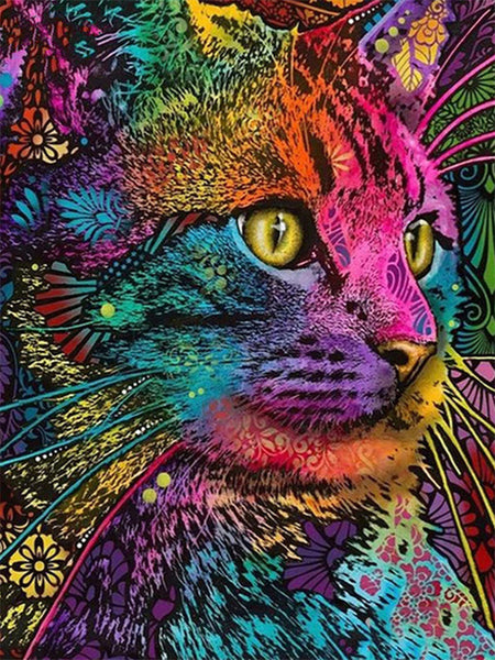 Rainbow Whiskers