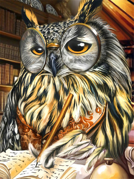 Scholar Owl