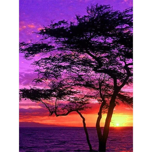 Seaside Sunset Tree