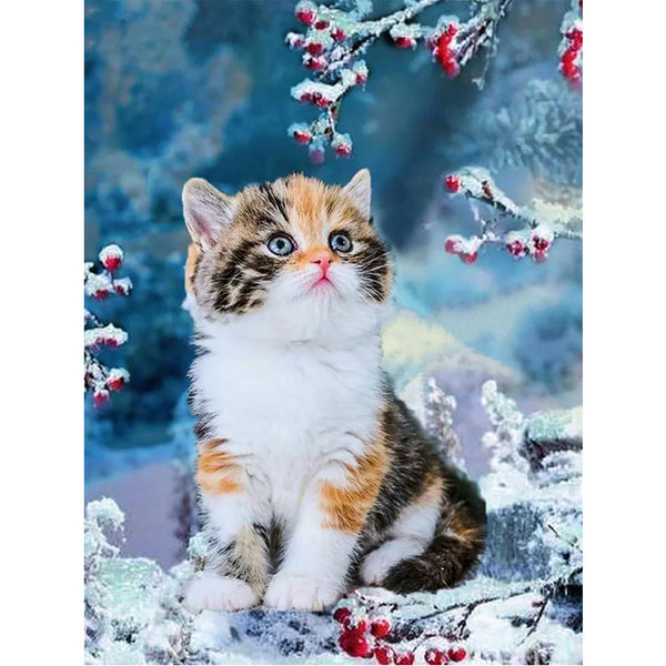 Winter Kitten