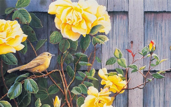 Diamond Painting Yellow Bird On Yellow Rose Branch - OLOEE