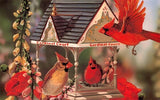 Diamond Painting Three Red Birds On Court - OLOEE