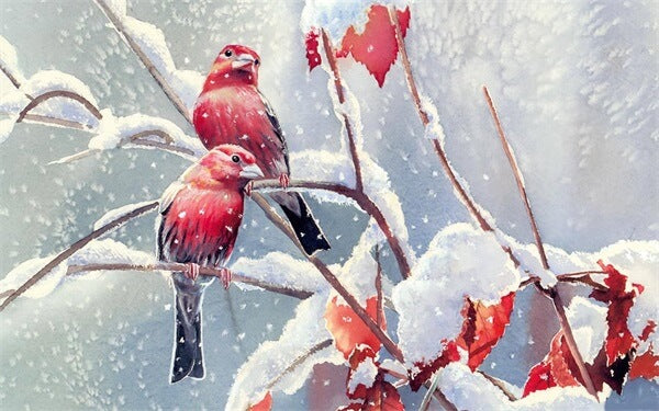 Diamond Painting Red Birds On Branch With Snow - OLOEE