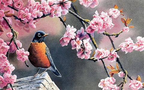Diamond Painting Bird And Cherry Blossom - OLOEE