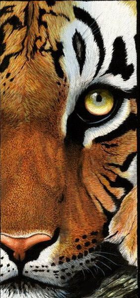 Diamond Painting Yellow Eye Tiger - OLOEE