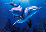 Diamond Painting Couple Dolphin - OLOEE