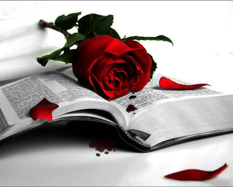 Diamond Painting Red Rose Book - OLOEE