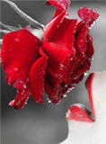 Diamond Painting Red Rose Kissing - OLOEE
