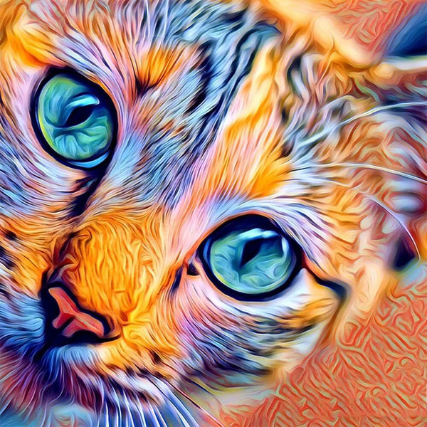 Rainbow Painted Cat