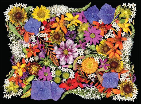 Collage Of Flowers