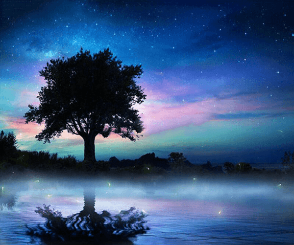 Diamond Painting Night Sky Tree - OLOEE