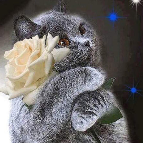 Diamond Painting Gray Cat and Flower - OLOEE