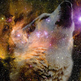 Diamond Painting Galaxy Wolf - OLOEE