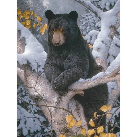 Diamond Painting Black Bear On Tree - OLOEE