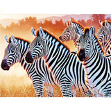 Diamond Painting Wildlife Zebras - OLOEE