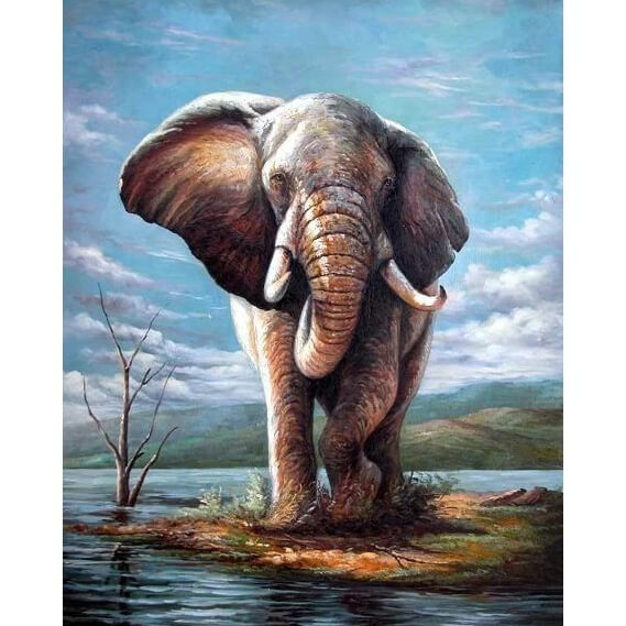 Elephant By The Water