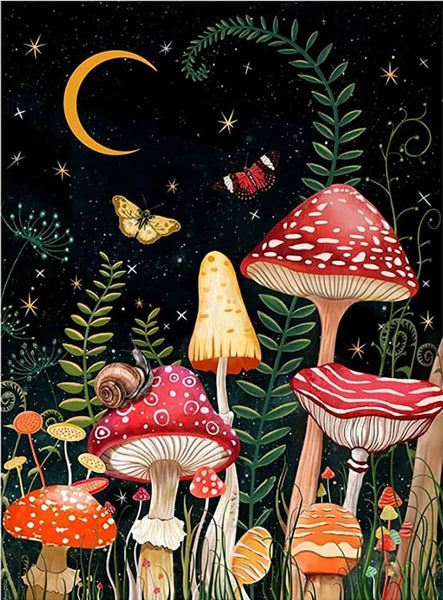 Night Mushroom
