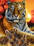 Bengal Tiger Family