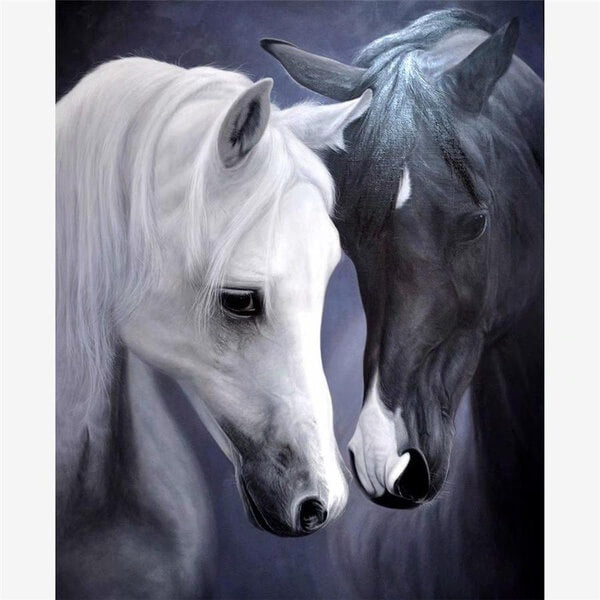 White and Black Horse