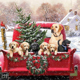 Christmas Truck Dogs