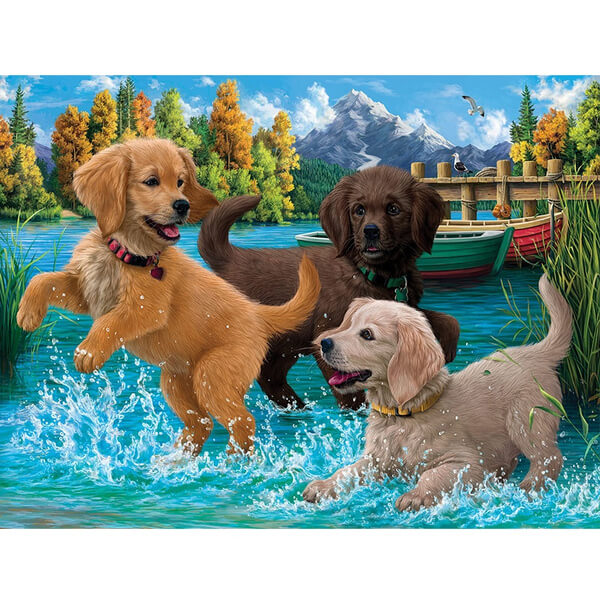 Dogs Playing In Water