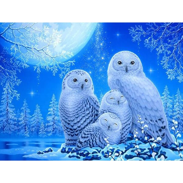 Snowy Owl Family